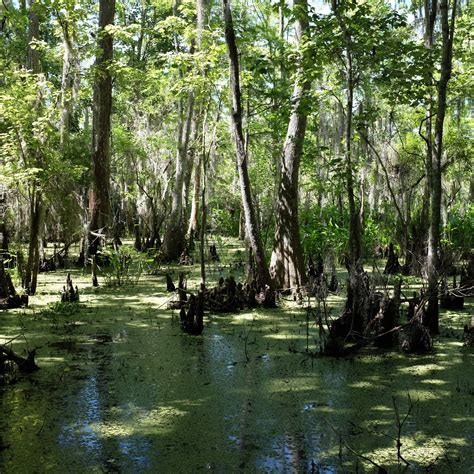 Villages In Louisiana at JENENGE blog