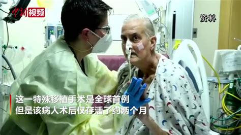 全球首例移植猪心脏者死因或与猪病毒有关 腾讯视频