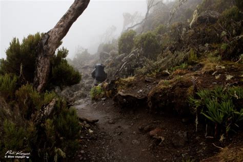 Comment se Préparer au Trek du Kilimandjaro