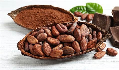 Cacao Beans: Health Benefits and Ways To Use – Healthy Blog