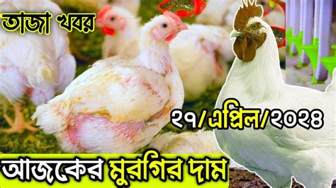 27 April 2024 ব্রয়লার ও সোনালী মুরগির পাইকারি দাম জানুন মুরগির আজকের