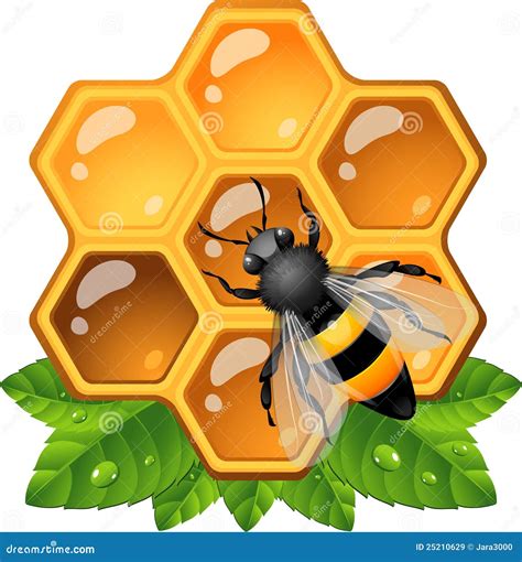 Abeja En El Panal Ilustración Del Vector Ilustración De Hoja 25210629