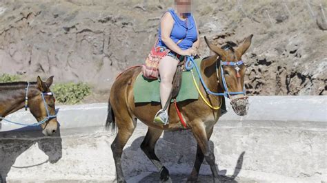 Brit Tourists Too Fat To Ride Donkeys On Greek Island Santorini So