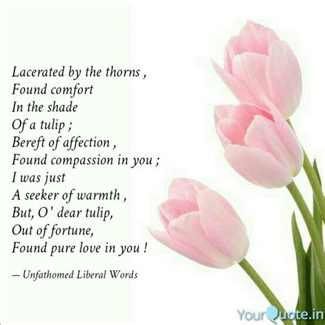 Best Tulip Quotes Status Shayari Poetry And Thoughts Yourquote