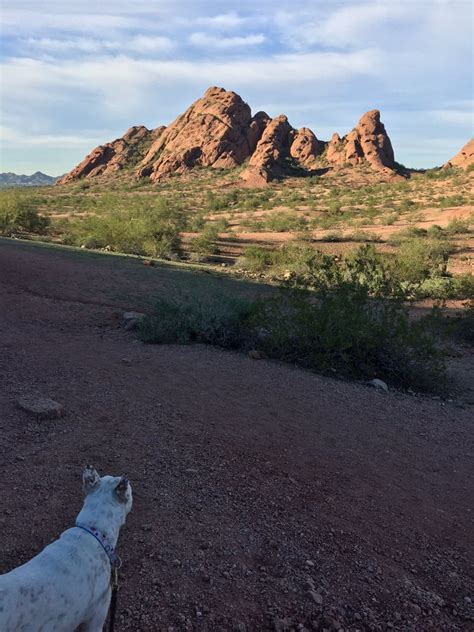 Papago Park - Top Dog Parks