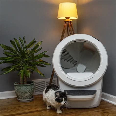 Litter Robot Selbstreinigendes Katzentoilette Whisker Smarte