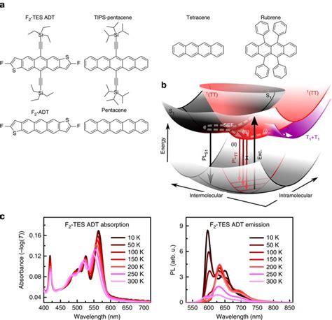 The Entangled Triplet Pair State In Acene And Heteroacene Materials