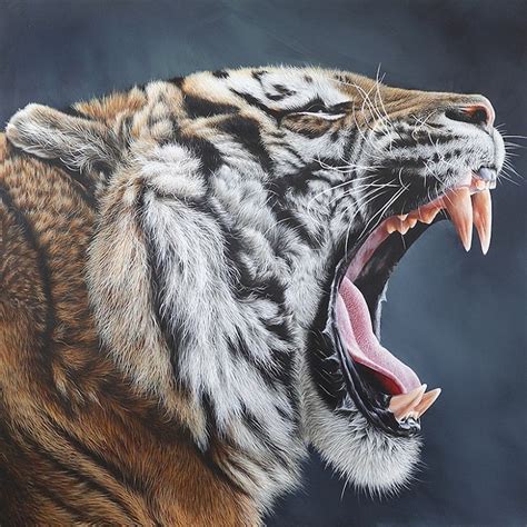 wildlife art  stunningly realistic portraits