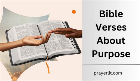 Most Effective Bible Verses About Purpose Prayerlit