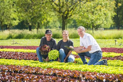 Saisonstart F R Heimisches Gem Se Bei Spar Spar Sterreich Online