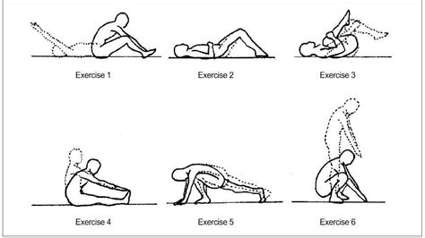 Williams Flexion Exercises