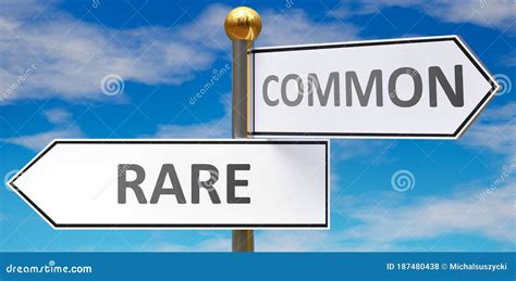 Rare And Common As Different Choices In Life Pictured As Words Rare