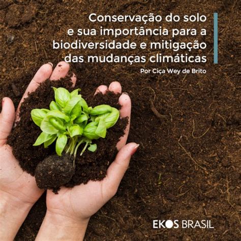 Conservação do solo e sua importância para a biodiversidade e mitigação