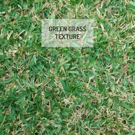 Green grass texture | Free Vector