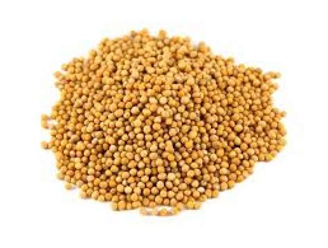 Yellow Mustard Seeds 600g Debriar