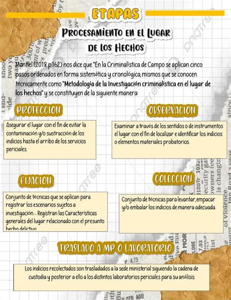 Etapas Del Procesamiento Del Lugar De Los Hechos Forensic Studygram