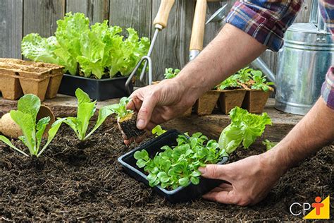 Qual é A Importância Da Agropecuária Para O Brasil Mundo Ecologia