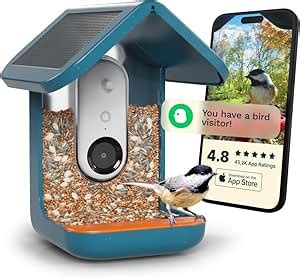 Bird Buddy Original Smartes Vogelfutterhaus Mit Kamera Solarbetrieben