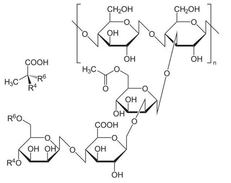 Qué es la goma xantana Xanthan gum Food additives Gum