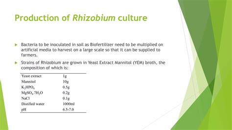 Biofertilizer Ppt Ppt