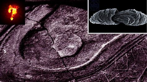 15 Million Year Old Shoe Print Left On Coal Youtube