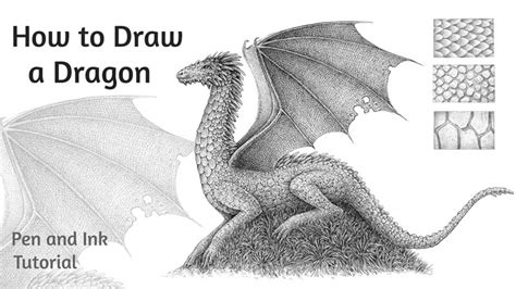 How To Draw A Realistic Dragon Breathing Fire