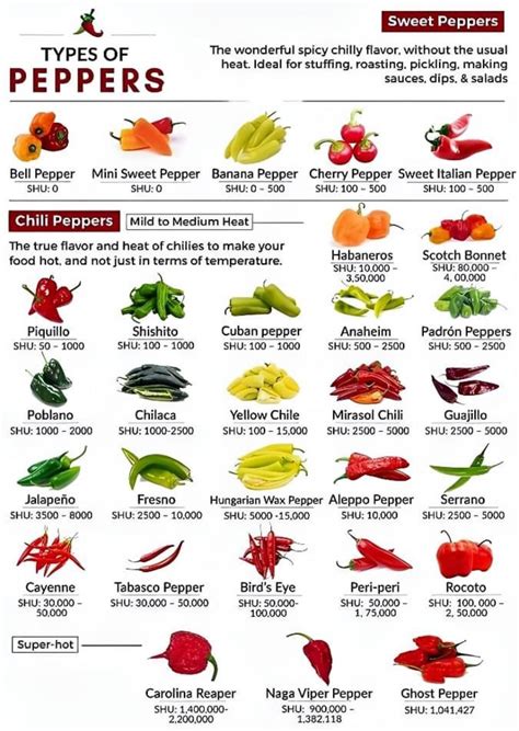 A cool guide to pepper heat : r/coolguides