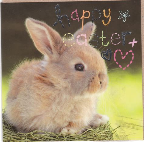 View From The Birdhouse New Easter Cards