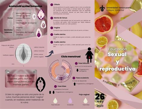 Educación Sexual y Reproductiva Ioselyne Hernández y Hernández uDocz