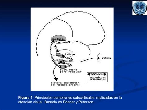 Teoria Atencion