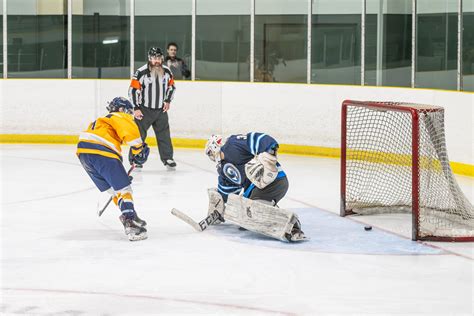 Sports: 'Terrible' effort leads to 5-3 Predators' home loss