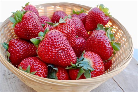 Top Des Vari T S De Fraises Les Plus Savoureuses Plantez Les D S