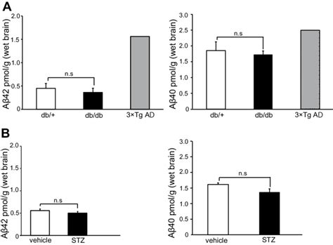 Levels Of Amyloid Beta Aβ 42 And 40 In Brain Homogenates Are Not