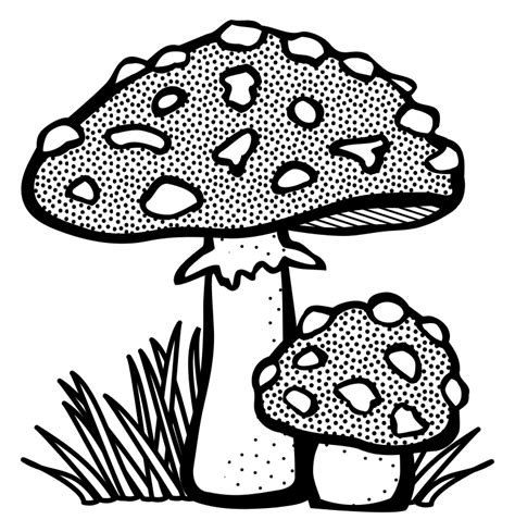 Toadstool Lineart Openclipart