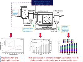 Promising Carbon Utilization For Nitrogen Recovery In Low Strength