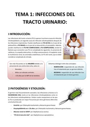 TEMA 3 Urologia Resumen Patología quirúrgica ii neurocirugía