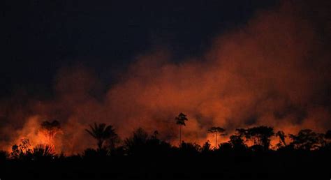 Focos De Incêndio Na Amazônia Chegam A 2 287 Em Maio Maior Volume Para