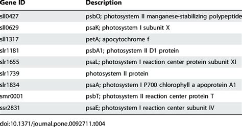 The Predicted Target Srna Genes Involved In Photosynthesis Download