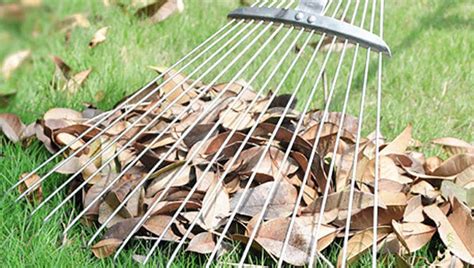 Gardening Tools Names Tagalog Fasci Garden