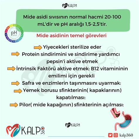 Kalp 360 on Twitter Mide asit seviyesi günlük yaşam kalitemiz ve