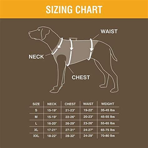 6 Best Dog Hunting Vest Brands of 2020 (And Your Buyer's Guide)