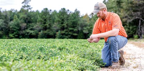 Keeping Farmers in the Green – Clemson World Magazine