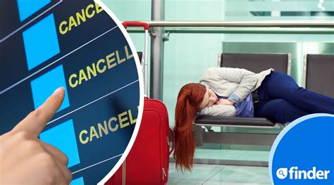 Flight Cancellations Soar What Are Your Options Finder