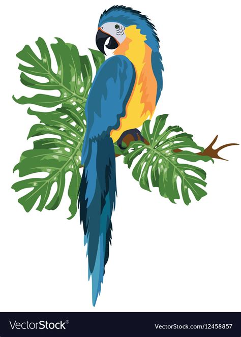 Parrot Sitting On A Tree Branch Royalty Free Vector Image