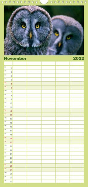 Familienplaner Tiere Des Waldes Wandkalender Cm X Cm