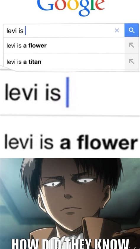 Levi Ackerman Funny Meme Anime Memes Funny Attack On Titan Meme