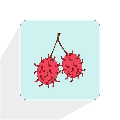 Premium Vector Rambutan Fruit