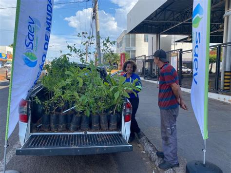 Saev Ambiental Saev Ambiental faz ações especiais pelo Dia da Árvore