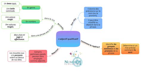 L Adjectif Qualificatif 6ème Leçon Et Exercices