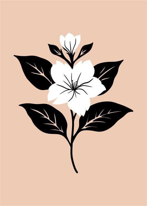 Jasmine Flower Poster Picture Metal Print Paint By Imad Madd